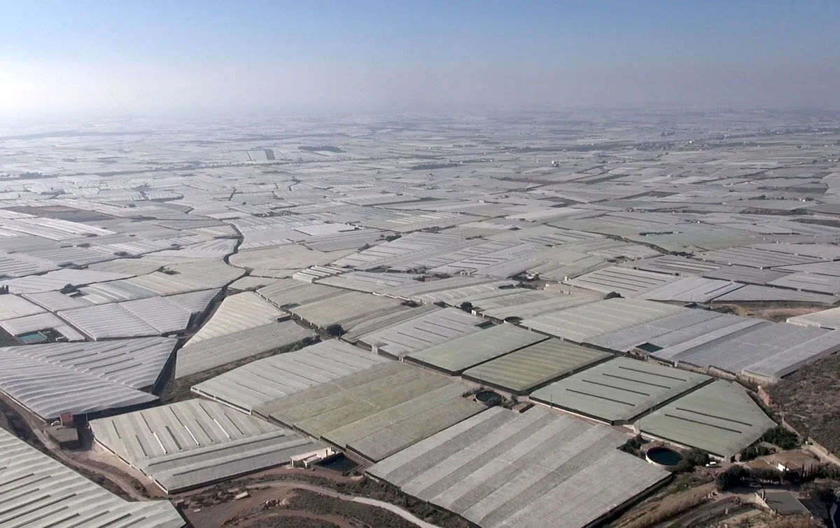 Campo de Dalías desde la vista de un avión